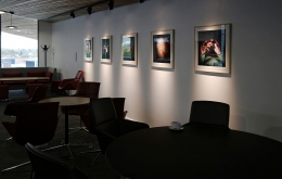 Issam Kourbaj Camera Obscura images in Maxwell Centre (photographer Paul Allitt)